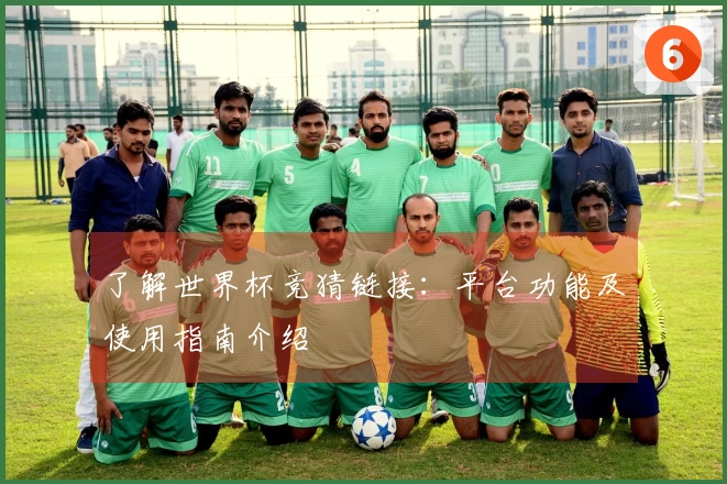 了解世界杯竞猜链接：平台功能及使用指南介绍