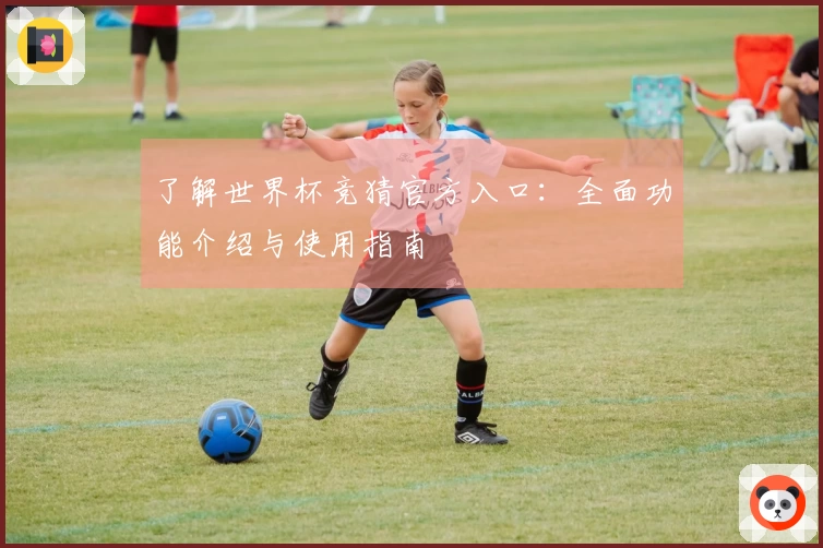 了解世界杯竞猜官方入口：全面功能介绍与使用指南