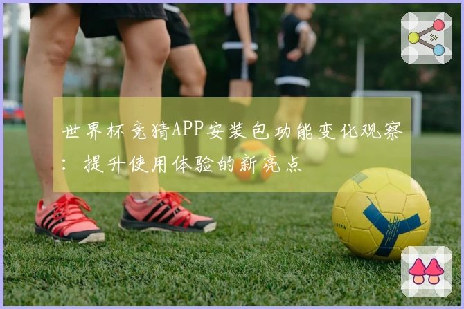 世界杯竞猜APP安装包功能变化观察：提升使用体验的新亮点