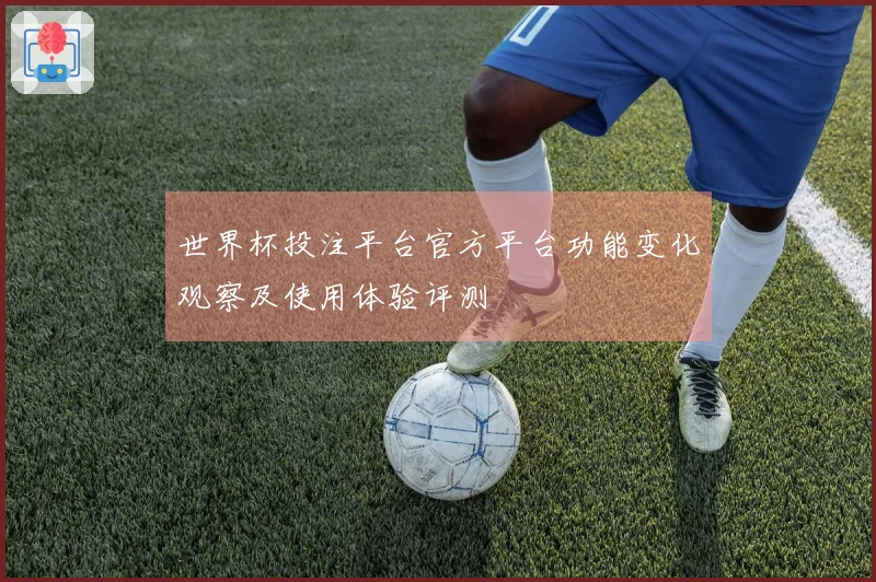 世界杯投注平台官方平台功能变化观察及使用体验评测